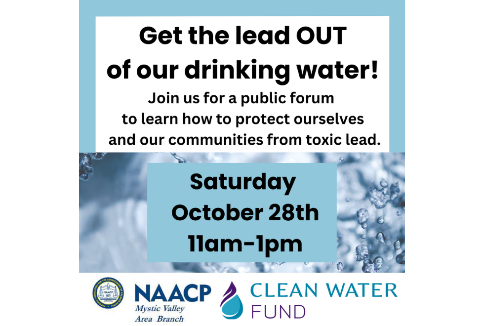 gettheleadout-of-our-drinking-water-clean-water-action